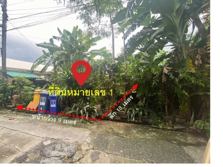 ขายที่ดิน ซ พหลโยธิน 48 ซอยสายหยุด ใกล้สนามบินดอนเมือง ขนาด 50-82 ตรว