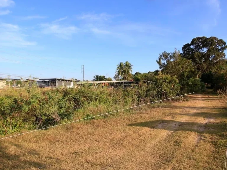 ที่ดิน เหมาะสร้างบ้านจัดสรร ใกล้ถนนเลี่ยงเมืองอุบลฯ231 ติดถนนหัวแปลงท้ายแปลง ใกล้ 3 แยกตัดใหม่ ไป รพ 50 พรรษา