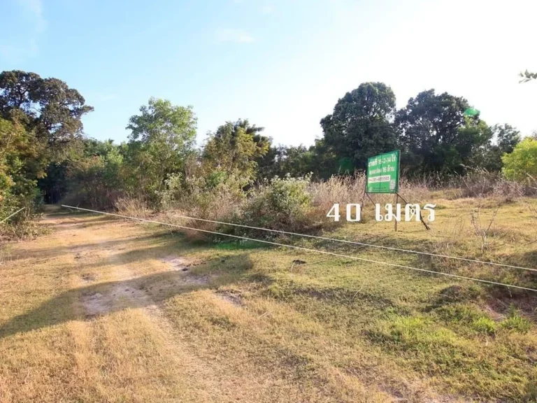 ที่ดิน เหมาะสร้างบ้านจัดสรร ใกล้ถนนเลี่ยงเมืองอุบลฯ231 ติดถนนหัวแปลงท้ายแปลง ใกล้ 3 แยกตัดใหม่ ไป รพ 50 พรรษา