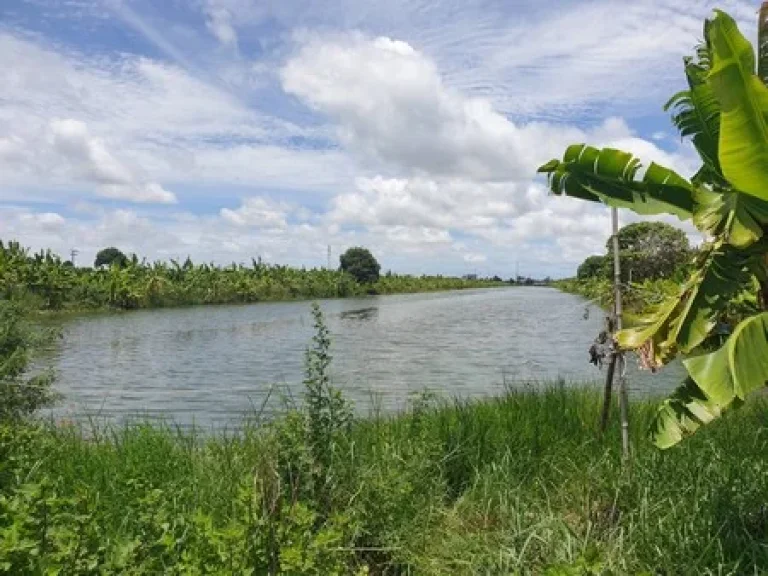 ขายที่ดินเปล่า ติดถนนคอนกรีต จังหวัดสมุทรปราการ เจ้าของขายเอง