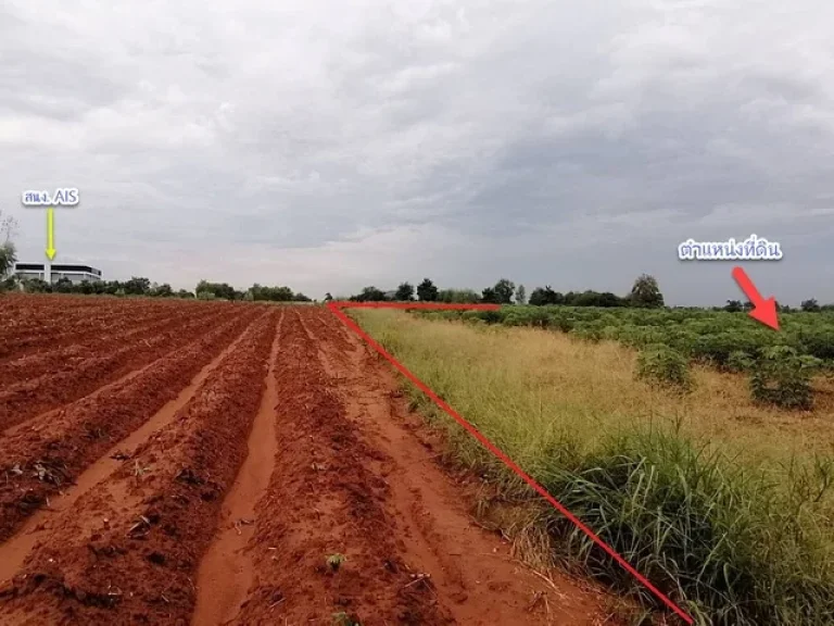 ขายที่ดินบ้านหนองหลุบ ใกล้ถนนเลี่ยงเมือง สนามบินขอนแก่น เนื้อที่ 28-1-30 ไร่