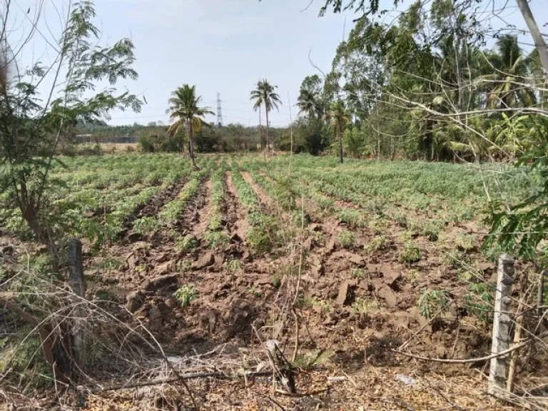 ขายที่ดินบ่อทอง 3 ไร่ มีวิวเขาติดถนนลาดยาง ติดคลอง ใกล้ถนนเส้นสัตหีบ-พนมสารคาม331 - 8 กม จชลบุรี