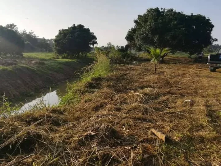 ขายที่ดินตำบลเชิงดอยวิวท้องนาห่างที่ว่าการอำเภอเพียง 2kmติดลำเหมืองพร้อมโอน