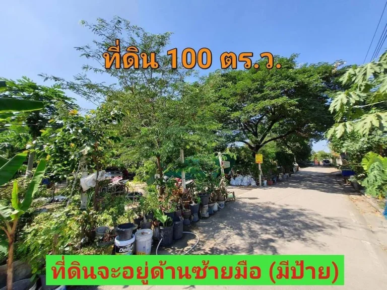 ขายถูก ที่ดินบางบัวทอง 100 ตารางวา ใกล้ถนน345 ซอยสุเหร่าปากคลองลำรี ตละหาร จนนทบุรี