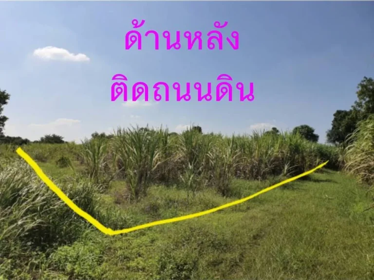 ขายที่ดิน 5 ไร่ 2 งาน 97 ตรว ตปากช่อง อจอมบึง จราชบุรี ฟรีค่าโอน