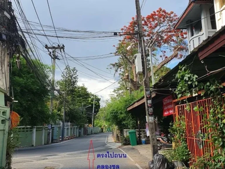 ที่ดินเปล่าแปลงเล็กแถวมหาวิทยาลัยเชียงใหม่ ซอยวัดอุโมงค์ ใกล้เซเว่น