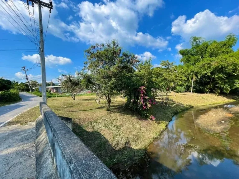 ขายที่ดินติดลำธาร วิวภูเขา น้ำแพร่ อหางดง เชียงใหม่