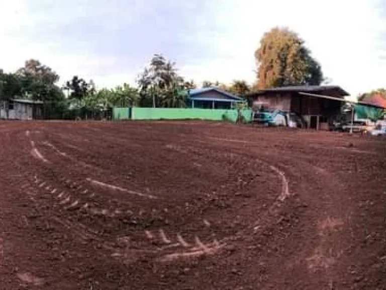 ที่ดินแบ่งล็อกพร้อมสร้างบ้านวัดพริก จพิษณุโลก เนื้อที่ 60 ตรว พร้อมเดินระบบไฟฟ้า ประปา เรียบร้อย