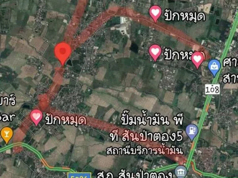 ขายที่ดิน ตำบลสันกลาง อำเภอสันป่าตอง เชียงใหม่ 