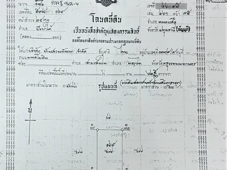 ที่ดินเปล่า พร้อมรับสร้างบ้าน สาธารณูปโภคครบ คลอง10 ปทุมธานี ผ่อนเพียง 8000 บาท