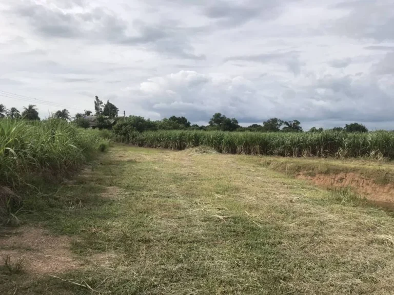 ขายที่ดินทำเลทอง ที่ดินถมแล้วติดถนนหลวงแผ่นดิน3357