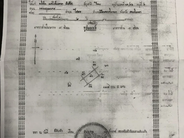 ขายที่ดิน 2 ไร่ ตวัดหลวง อพนัสนิคม จชลบุรี เจ้าของขายเอง