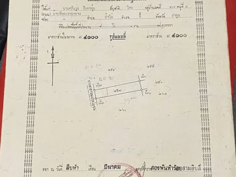 ขายถูกๆต้อนรับปีใหม่สนใจสอบถามข้อมูลได้ครับซื้อแล้วต่อยอดได้