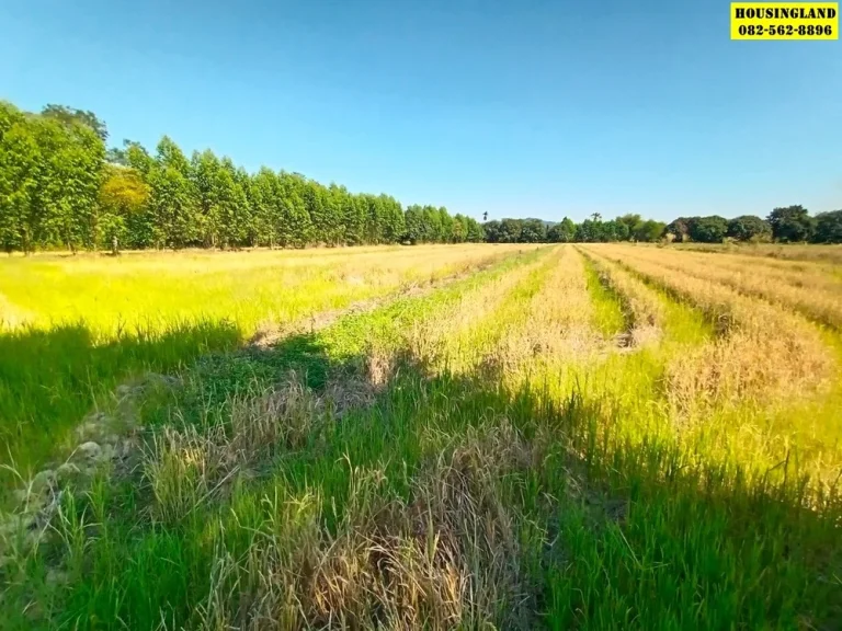 ขายที่ดินทำเลทอง ตำบล ศรีนาวา อำเภอเมืองนครนายก จังหวัดนครนายก