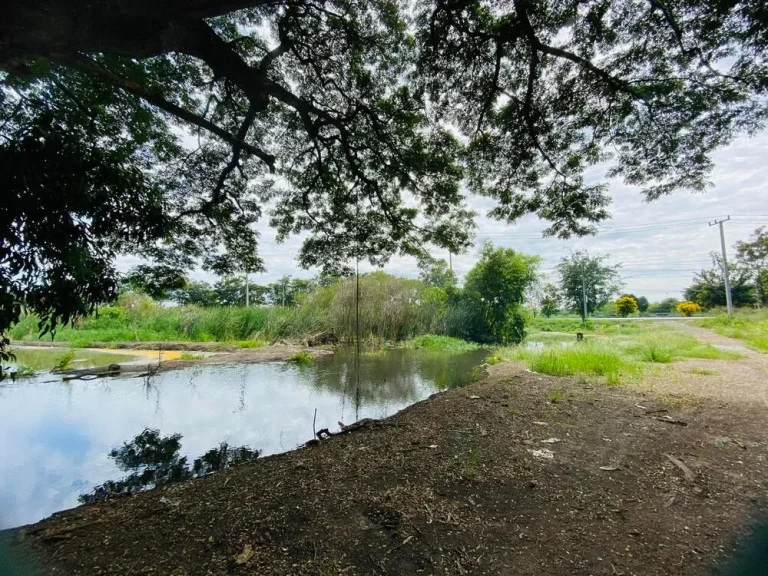 ขายที่ดินติดถนน ประตูน้ำพระอินทร์ เลียบคลองระพีพัฒน์