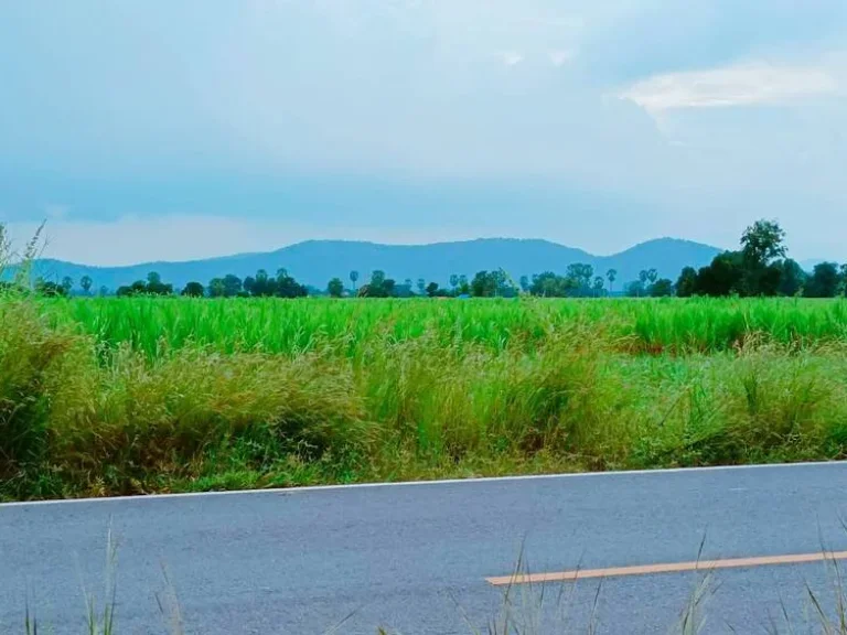 ขายที่ดินอู่ทองวิวเขาสวย ติดถนนลาดยางบรรยากาศดี เหมาะสร้างบ้านสวนปลูกผักอยู่ยามเกษียณ