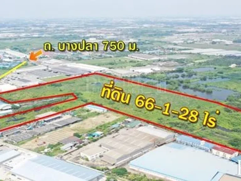 ขายที่ สร้างโรงงานทุก ประเภท 66ไร่ สีม่วง สมุทรสาคร พื้นที่กว้างด้านใน เทรลเลอร์สะดวก ระบายก็สะดวก  KK1949S