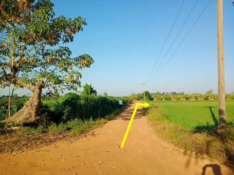 ขายที่ดิน 4 ไร่ 16 ตรวา ที่ดินไม่ต้องถม ใกล้ อบตปากน้ำ ใกล้ วัดปากน้ำ ใกล้ สนามบินสุโขทัย