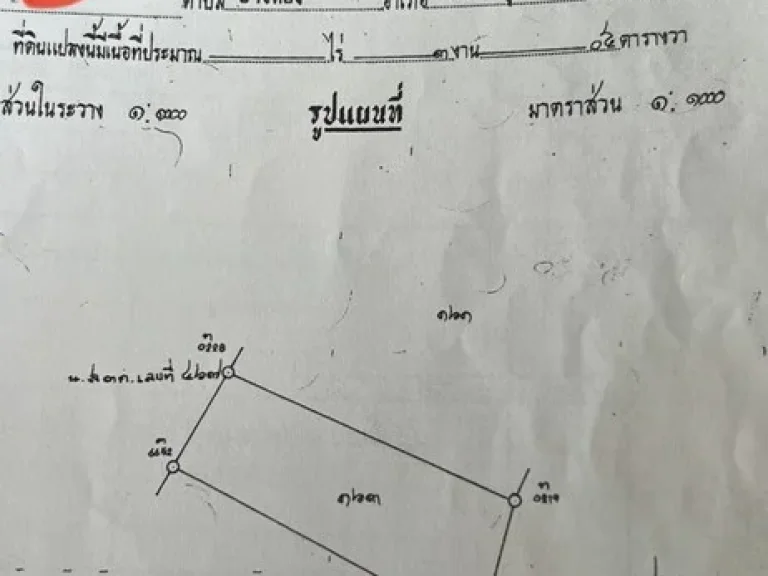 ขายที่ดินเกาะสมุย ตอ่างทอง อเกาะสมุย จสุราษฎร์ธานี