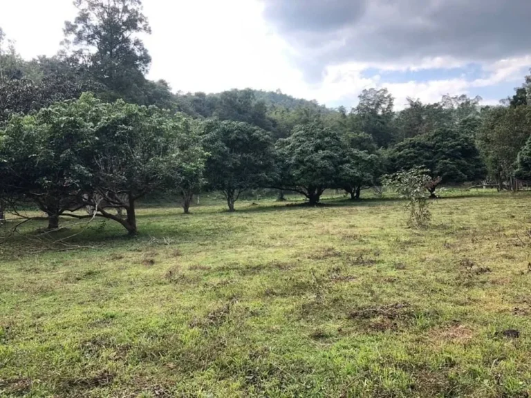 ขายที่ดินติดถนนหลัก วิวภูเขา ติดลำห้วย อดอยสะเก็ด เชียงใหม่