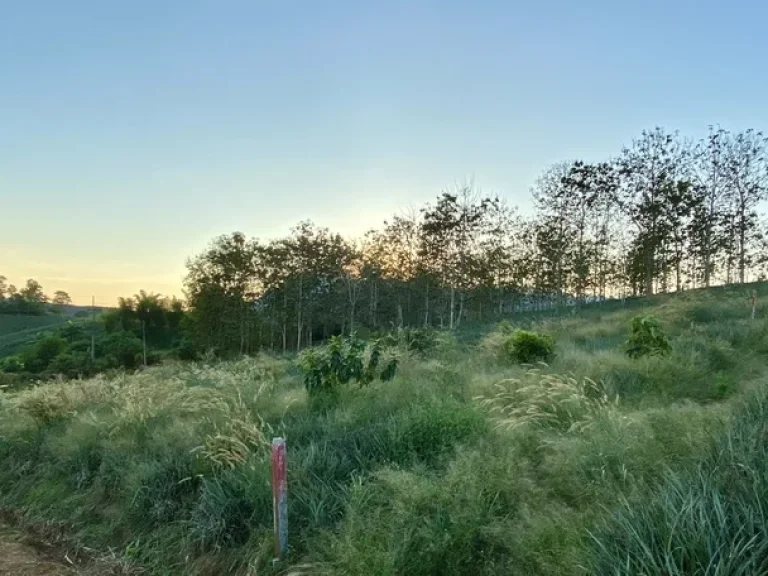 ขายที่ดินใกล้เมืองที่ตำบลดอยฮาง อำเภอเมือง จังหวัดเชียงราย