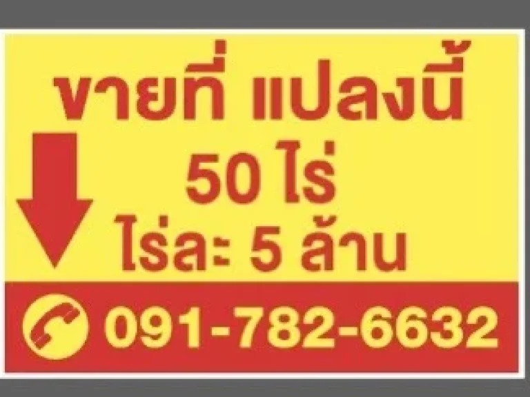 ขายที่ดินแปลงใหญ่ ติดถนน ตคลองสอง อคลองหลวง ปทุมธานี