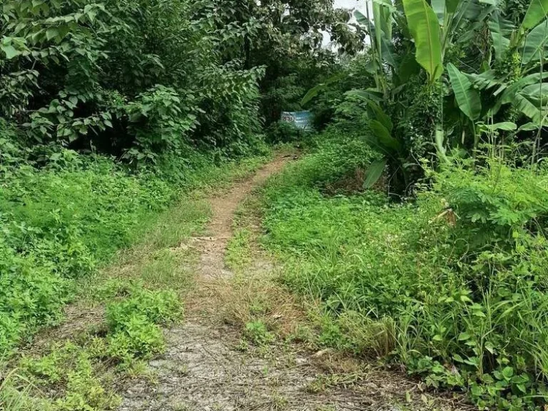 ขาย ที่ดินเปล่า ติดถนนลาดยาง ตำบลห้วยหม้าย อำเภอสอง จังหวัดแพร่