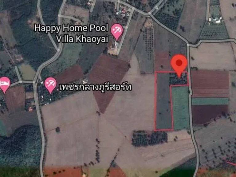 ขายที่เขาใหญ่ 15 ไร่ ขนงพระ ที่ราบกลางเขา วิวเขาล้อมรอบ ใกล้เส้น 2311 ที่สวยขายถูกมาก เหมาะซื้อเก็บ ด่วน ราคาร้อน