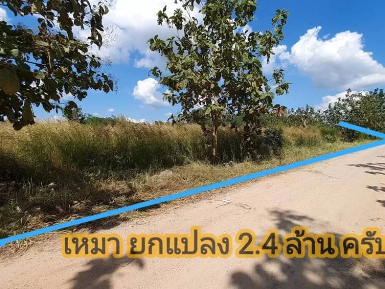 ที่ดินเขาใหญ่ ตัดใจไม่แพง 3ไร่ 2 4ล้าน หน้า My Ozone ต วังไทร อปากช่อง