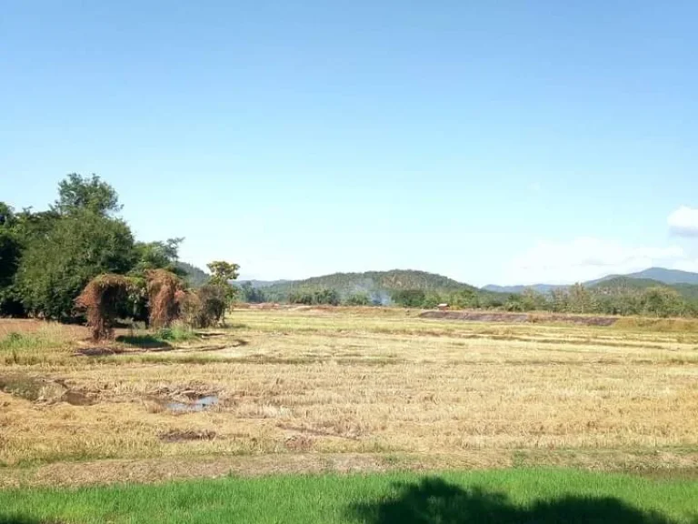 ที่ดินริมนา วิวสวย ติดคลอง ติดถนนสายหลัก อุตรดิตถ์