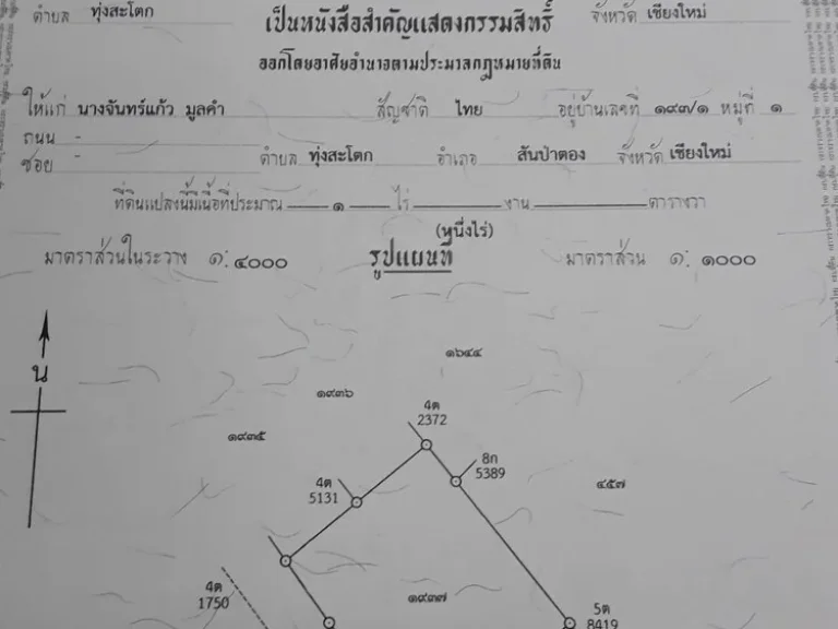 ขาย ที่ดิน 1 ไร่ เจ้าของขายเอง สันป่าตอง เชียงใหม่