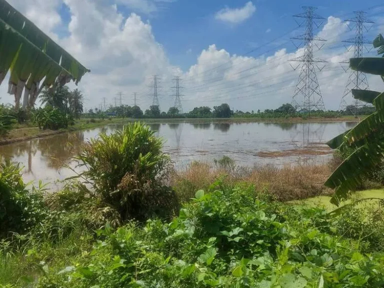 ที่มีโฉนดเป็นพื้นนา ทำเลดี อากาศดีในกรุงเทพแถบชานเมือง อยู่กับธรรมชาติ แต่การคมนาคมเข้าถึง มีไฟฟ้า ประปา ติดคลองทั้งสองฝั่ง เหมาะสำหรับคนที่ชอบความสงบ