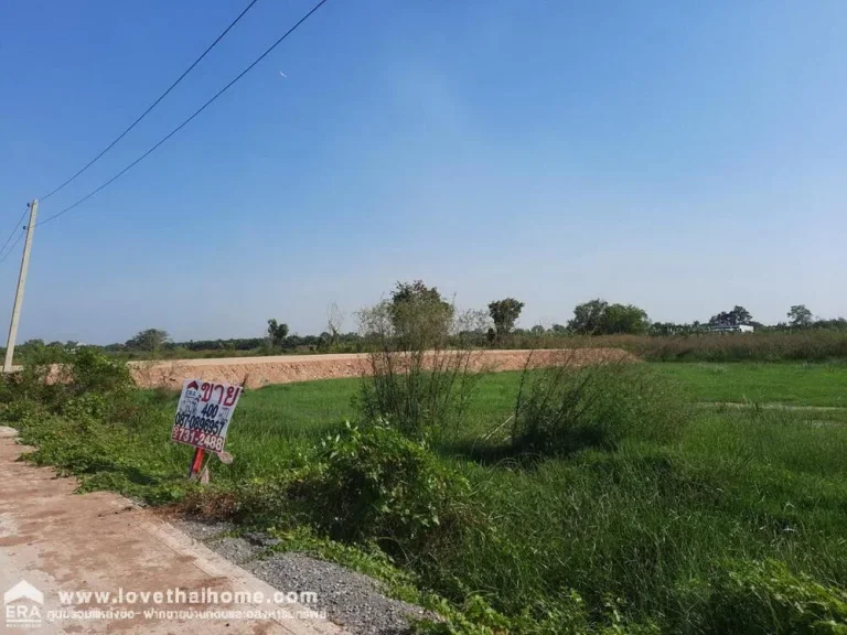 ขายที่ดิน ซคลองสาม133 ถเลียบคลองสาม พื้นที่400ตรว ขาย275ล้าน ล่าสุดถนนเป็นซีเมนต์แล้ว สามารถออกตลาดไอยรา และออกตลาดไทได้