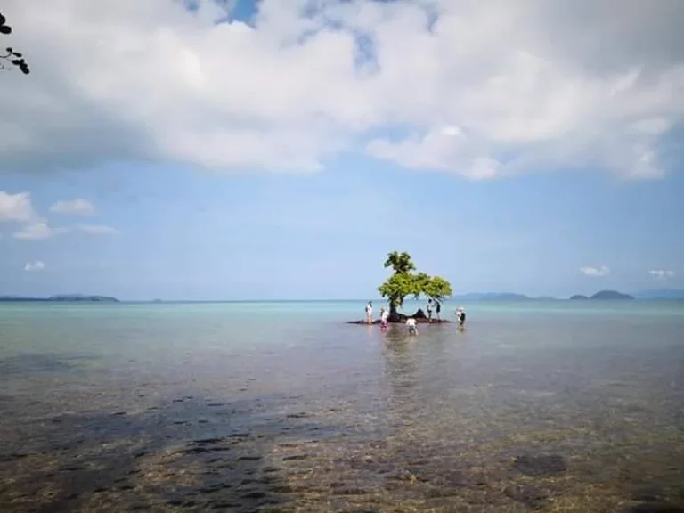 ขายเกาะส่วนตัว จังหวัดราด เนื้อที่ 1000ไร่ เอกสารโฉนด