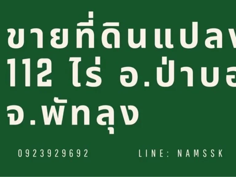 ขายถูกมาก ที่ดินพร้อมต้นยางพารา ทำเลดี น้ำไม่ท่วม น้ำ-ไฟฟ้า สัญญาณมือถือครบ ใกล้ถนนเพชรเกษม เข้าออกได้หลายทาง