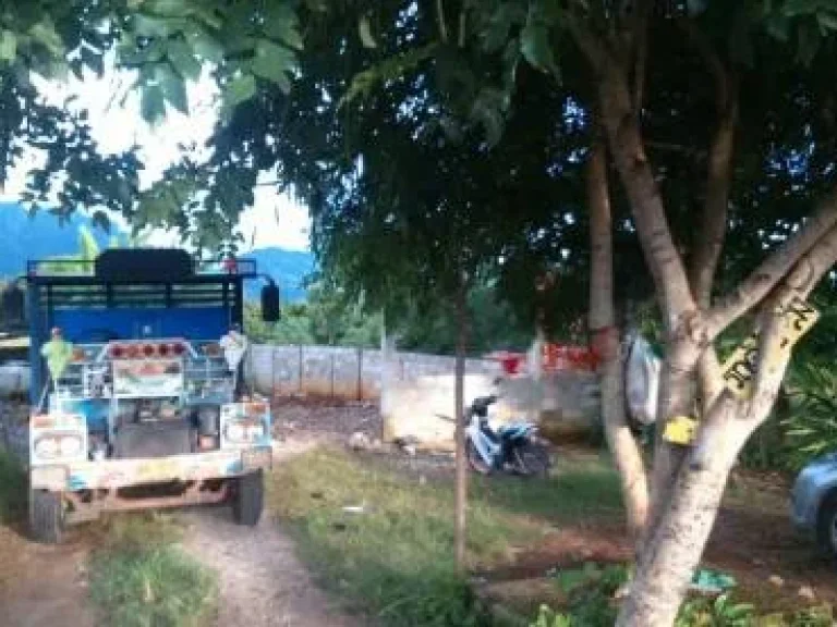 ที่ดิน ภบท ๕ รออกโฉนด มีหลักหมุดที่ดินชัดเจน จังหวัดสระแก้ว