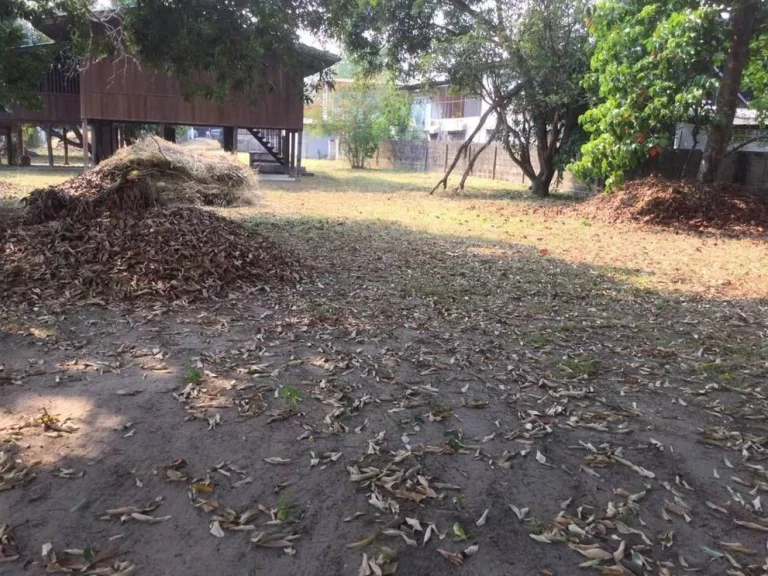 ที่ดินพร้อมสิ่งปลูกสร้างติดถนนใหญ่สันทราย-แม่โจ้ จังหวัดเชียงใหม่