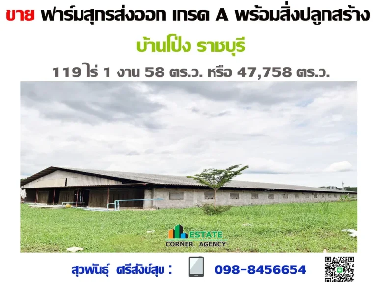 ขาย ฟาร์มสุกร สิ่งปลูกสร้าง พร้อมกิจการ บ้านโป่ง ราชบุรี