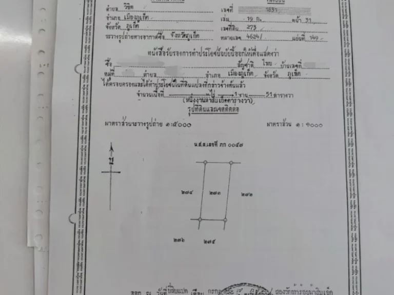 ขายที่ดิน แหลมพันวา เขาขาด 151 ตรว ที่เนินสูง 15 เมตร หน้ากว้าง 20 เมตร