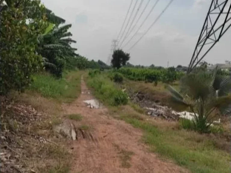 ขายที่ดินเปล่า พุทธมณฑลสาย 3 แปลงใหญ่ที่สุดย่านพุทธมณฑล ติดถนน 4 เลน