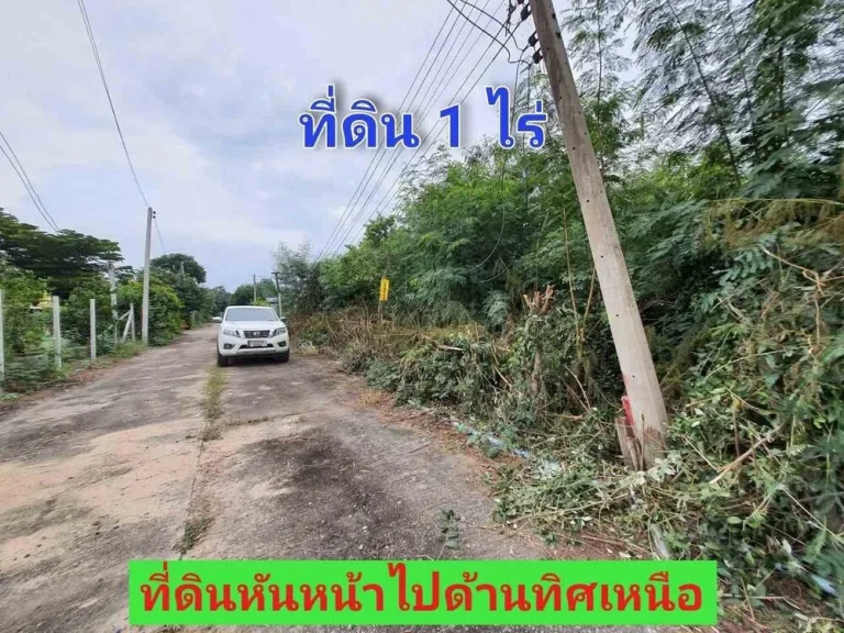 ขายที่ดินบัวปากท่า 1 ไร่ ถมไว้แล้วทั้งแปลง เหมาะสร้างบ้าน อบางเลน จนครปฐม