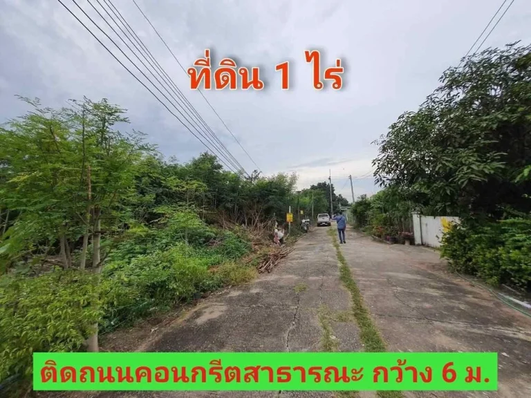 ขายที่ดินบัวปากท่า 1 ไร่ ถมไว้แล้วทั้งแปลง เหมาะสร้างบ้าน อบางเลน จนครปฐม