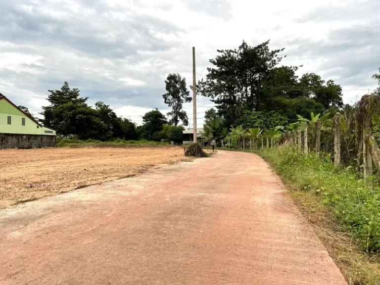 ขายที่ดินใกล้ศูนย์ราชการ อำเภอเมือง จังหวัดปราจีนบุรี ใกล้ถนน 4 เลนมาก