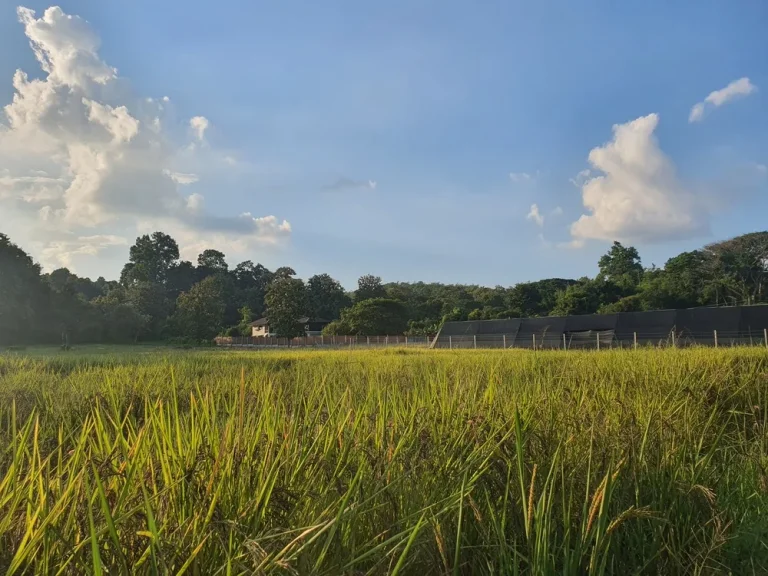 ที่ดินเปล่าสำหรับสร้างบ้าน 2 ไร่ ตห้วยทราย อแม่ริม จเชียงใหม่ ใกล้ เดอะภาวนา รีสอร์ท