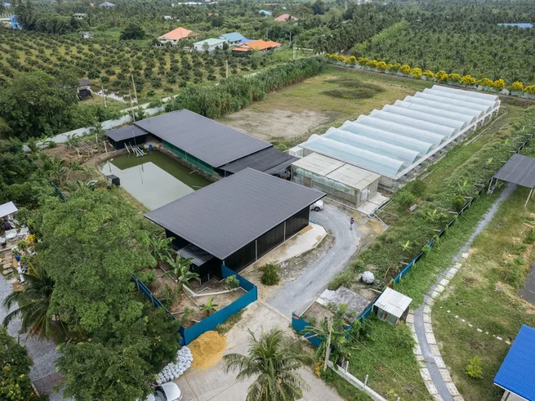 ขายสวนปลูกสลัดอินทรีย์ปลอดสารพิษ พร้อมที่ดิน พื้นที่ 5 ไร่ ที่สวย อุดมสมบูรณ์