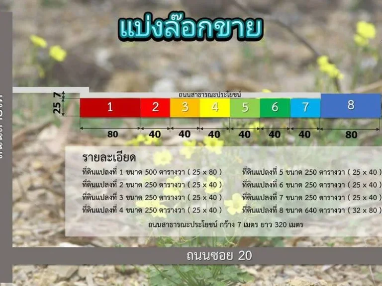 คุณๆที่กำลังมองหาที่ดินเพื่อ ปลูกบ้าน ทำการเกษตร มาเลยจ้า