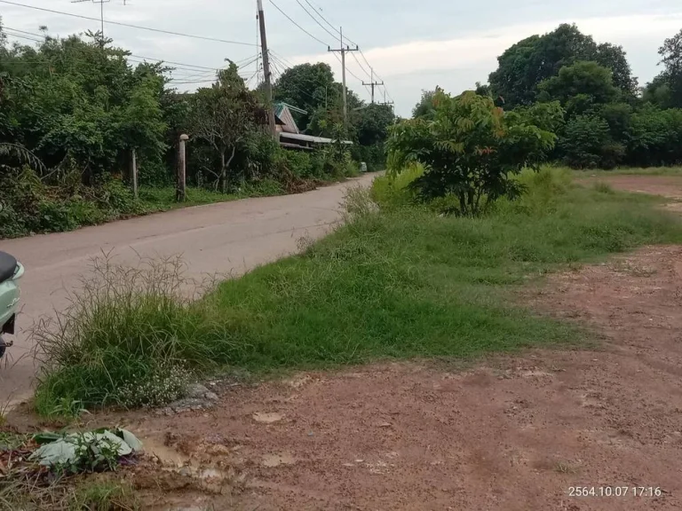 ขายที่ดินดงพระราม 200 ตรว ติดถนนลาดยาง 2 ด้าน ใกล้โรบินสันปราจีนบุรี - 5 กม จปราจีนบุรี