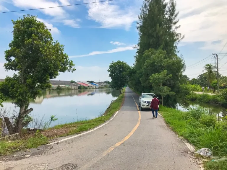 ขายที่ดิน 100 ตรว เลียบคลองนายหลีก ตบางคูรัด อบางบัวทอง จนนทบุรี