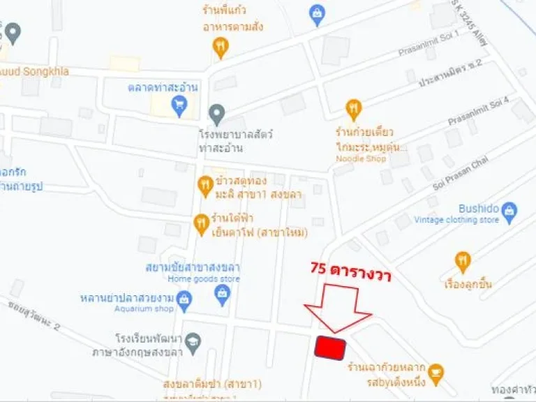 ขายที่ดินเปล่า ตำหนักพ่อแก่ ซอย3 ถนนสามสิบเมตร ท่าสะอ้าน เนื้อที่ 75 ตรวา