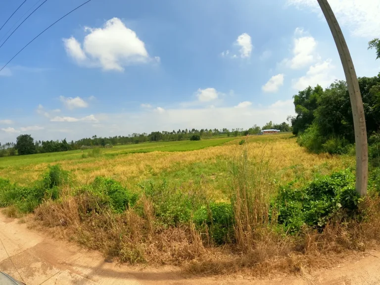 ที่ดินสวย จังหวัดสระแก้ว เจ้าของขายเอง ตศาลาลำดวน อเมือง จสระแก้ว บ้านคลองสำอางค์ใต้